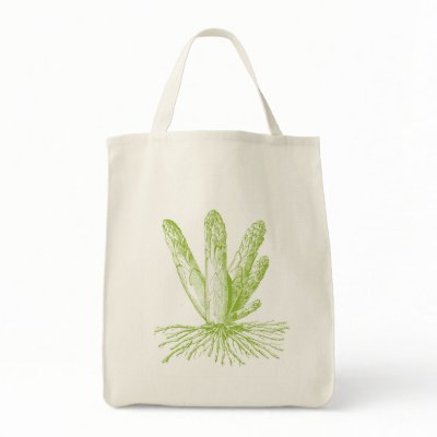 Asparagus Organic Grocery Tote Canvas Bag by ericar70