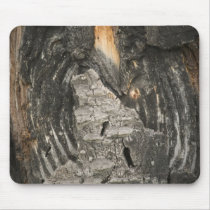 Aspen Bark Mouse Mats