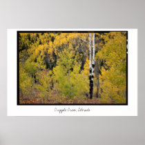 Aspen Foliage, Cripple Creek, Colorado Poster