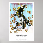Aspen Folly Print
