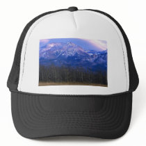 Aspen forest in the Rocky Mountain Foothills, Albe Hat