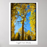 Aspen Framed, Cripple Creek, Colorado Poster