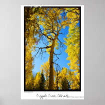 Aspen Framed, Cripple Creek, Colorado Poster