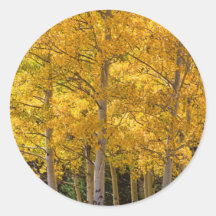 Aspen Gold Portrait Round Stickers