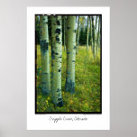 Aspen Grove, Cripple Creek, Colorado Poster