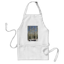 Aspen grove, San Francisco Mountains, CaliforniaA Aprons