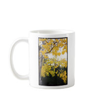 Aspen in Colorado Mug