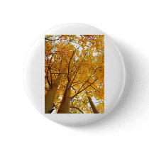Aspen of Colorado Button