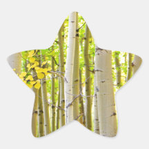 Aspen Tree Forest Autumn Time Portrait Stickers