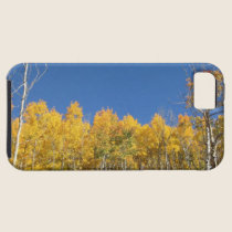 Aspen Trees, Colorado casemate cases