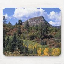 Aspens, Colorado Rockies Mouse Pad