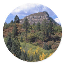 Aspens, Colorado Rockies Round Sticker