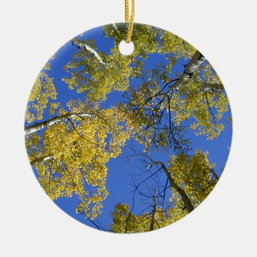 Aspens from Below ornament