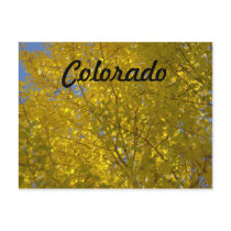 Aspens Postcard