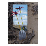 aspire to dream cards