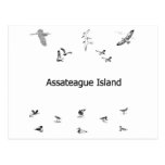 Assateague Island Birdwatching Line Art Post Card
