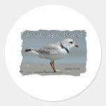 Assateague Island Piping Plover Round Stickers
