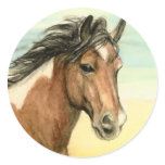 "Assateague Pony" Horse Art Sticker