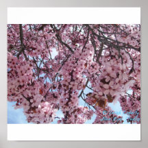 Assez dans le rose posters