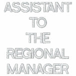 ASSISTANT TO THE REGIONAL MANAGER EMBROIDERED HOODY