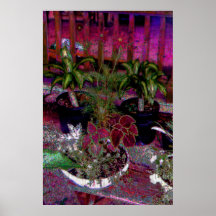 Assorted live flowers posters