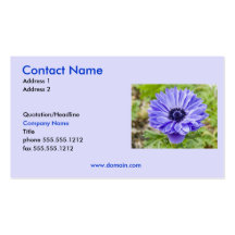 Aster Business Card
