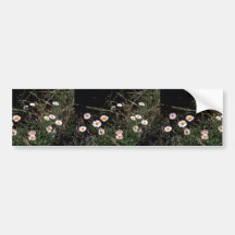 Aster de Fleabane Autocollants Pour Voiture