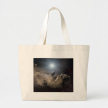 Asteroid bites the dust in space bags