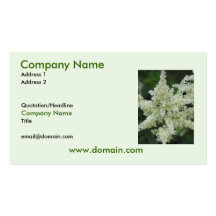 Astilbe Flowers on Business Card