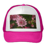 Astrantia Mesh Hat