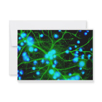 Astrocyte Are Star Shaped Glial Cells in the Brain Personalized Announcements