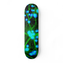 Astrocyte Are Star Shaped Glial Cells in the Brain Skate Board
