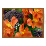 Astromeria #1 copy greeting cards