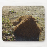 Asymmetrical Ant House Mount Mouse Pad