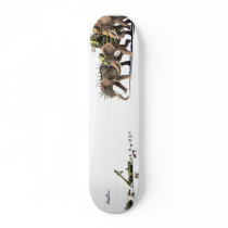 Asymmetry skateboard