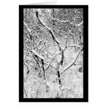 at home in snow cards