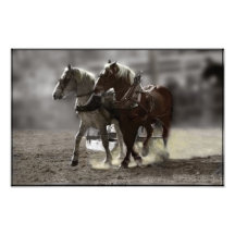 At Sandwich Fair; Pride, Determination, Purpose Art Photo