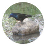 At the Creek Stickers