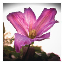At the end of the day print photograph