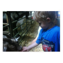 At The Petting Zoo Business Card Template