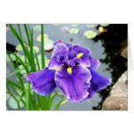 "At The Pond's Edge" Greeting Card