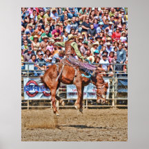 At The Rodeo Poster