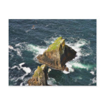 At The Slieve League Cliffs In Ireland Postcards