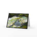 At the waters edge cards