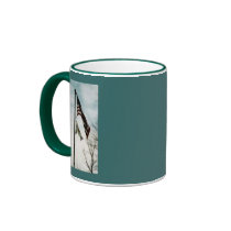 ata 013, pic0008 coffee mugs