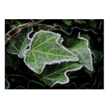 ATC de ~ de lierre d'automne Modèle De Carte De Visite