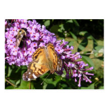 ATC de ~ de papillon et d'abeille Modèle De Carte De Visite