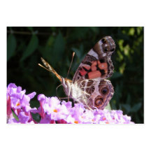 ATC fier de ~ de papillon Modèle De Carte De Visite