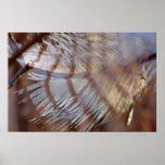 Athena's Gift posters