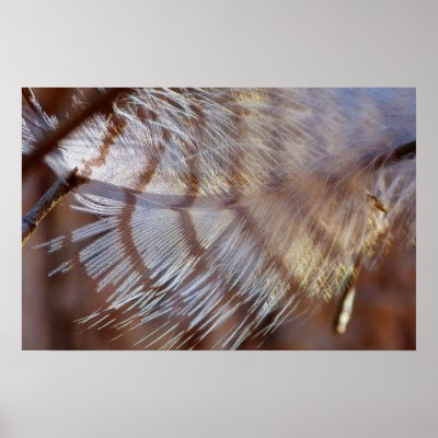 Athena's Gift Print by JAPhotographic